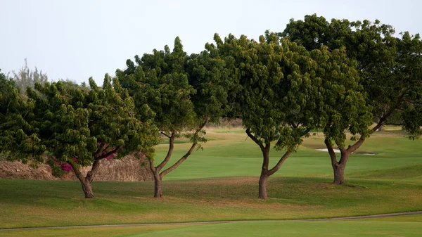 Campo Golf Parque Sobre Fondo Natural — Foto de Stock