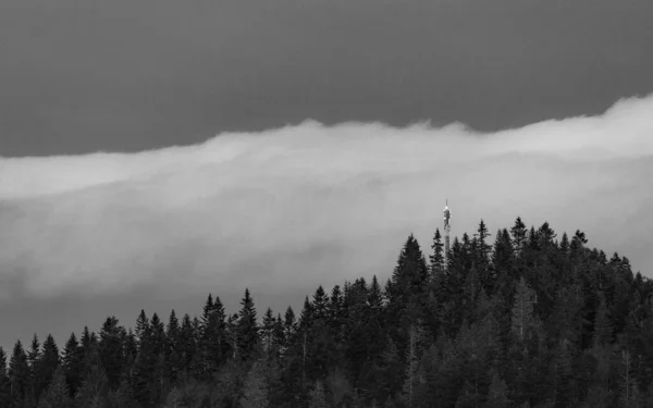 Schöne Landschaft Mit Bäumen Und Wolken — Stockfoto