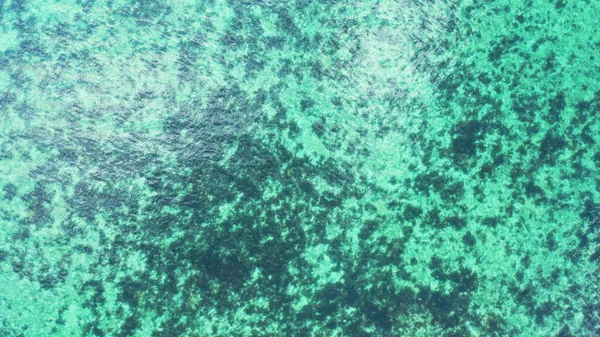 Vacker Tropisk Strand Med Blått Vatten — Stockfoto