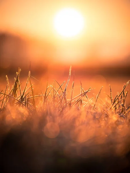 Hermoso Atardecer Campo — Foto de Stock