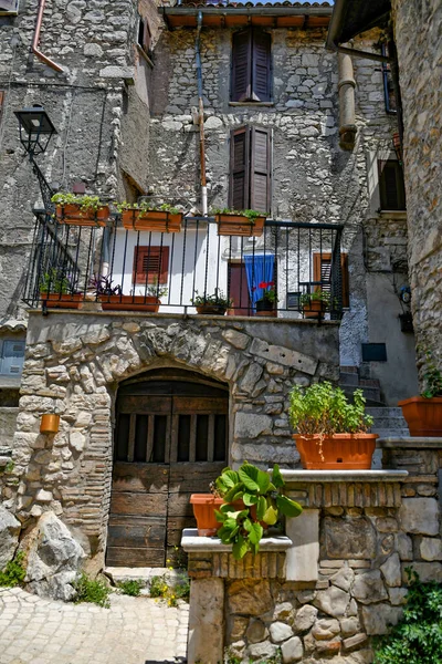 Cidade Velha Cidade Kotor Montenburgh — Fotografia de Stock