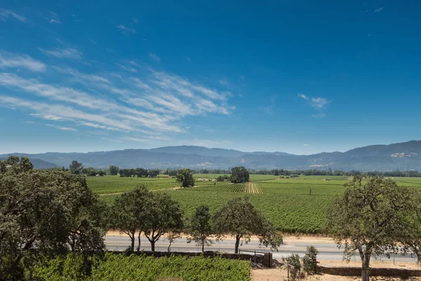 Hermosa Vista Del Campo — Foto de Stock