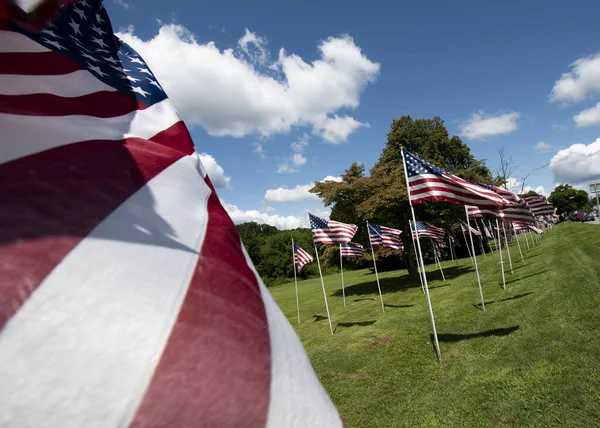 Çimlerde Amerikan Bayrakları — Stok fotoğraf