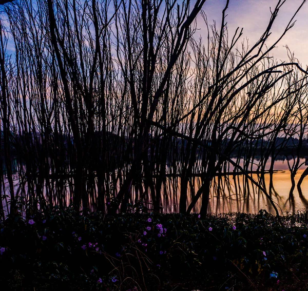 Matahari Terbenam Yang Indah Atas Danau — Stok Foto