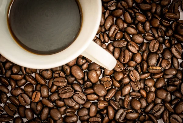 白い背景にコーヒー豆とエスプレッソカップ — ストック写真