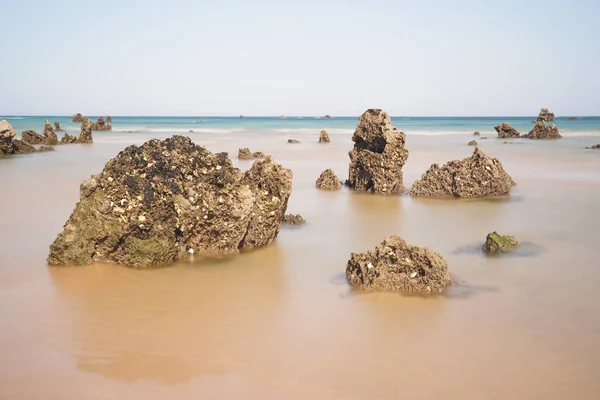 Belle Vue Sur Mer Sur Fond Nature — Photo