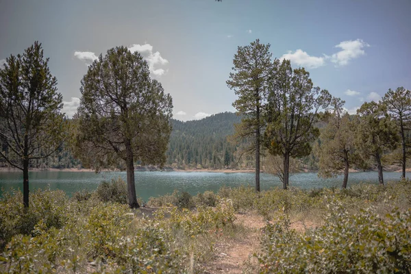 Bela Paisagem Com Rio Lago Fundo — Fotografia de Stock