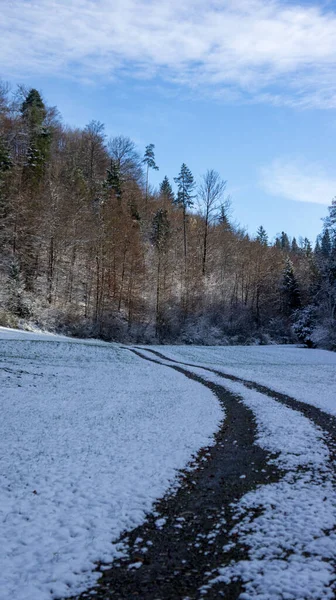 Paisaje Invernal Con Árboles Cubiertos Nieve —  Fotos de Stock