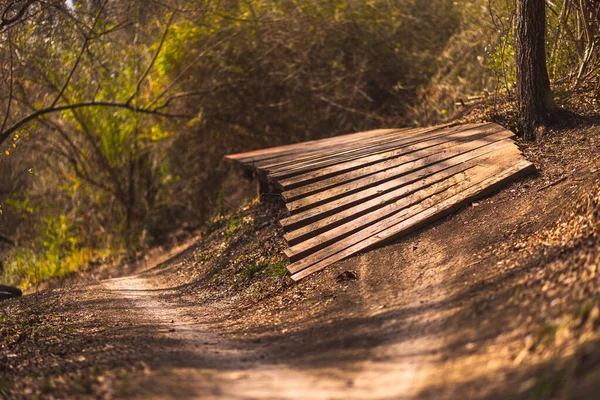 Деревянная Скамейка Лесу — стоковое фото