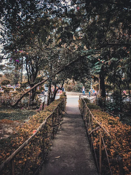 Hermosa Vista Del Parque — Foto de Stock