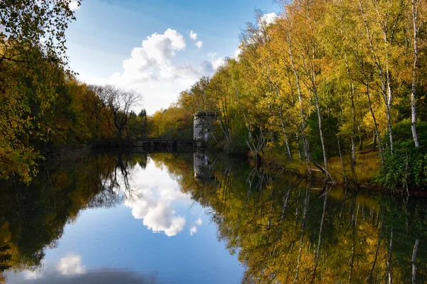 Осенний Пейзаж Деревьями Отражениями — стоковое фото
