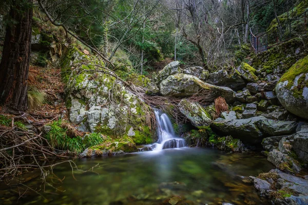 Krásný Vodopád Lese Přírodním Pozadí — Stock fotografie