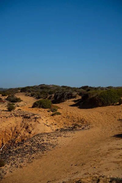 Bella Vista Sul Mare — Foto Stock