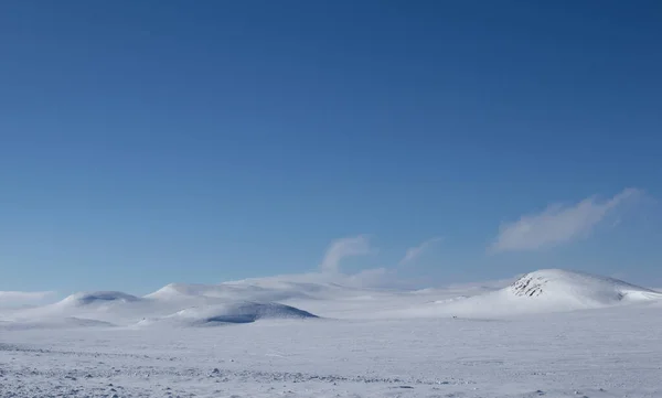 Vackert Vinterlandskap Med Snö — Stockfoto