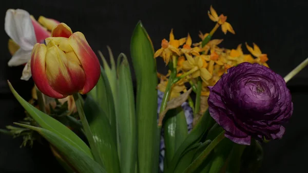 Schöner Strauß Tulpen Auf Schwarzem Hintergrund — Stockfoto