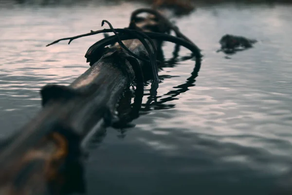 Силуэт Мужчины Черном Платье Рыболовной Сетью Реке — стоковое фото