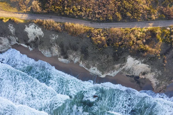 Luftaufnahme Des Meeres Wald — Stockfoto