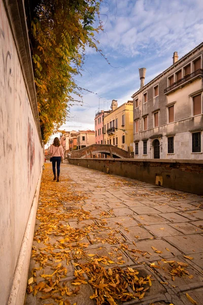 Venezia Italia Marzo 2019 Veduta Della Città Vecchia Roma — Foto Stock