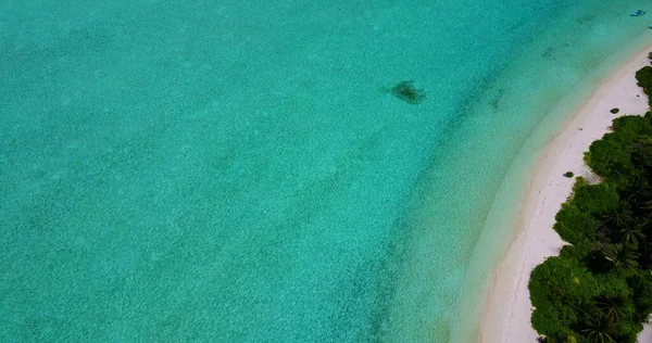 Красивый Тропический Пляж Пальмой Голубым Небом — стоковое фото