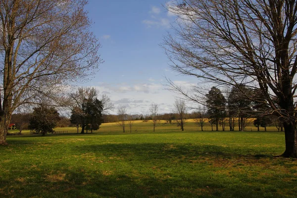 Prachtig Uitzicht Het Park — Stockfoto