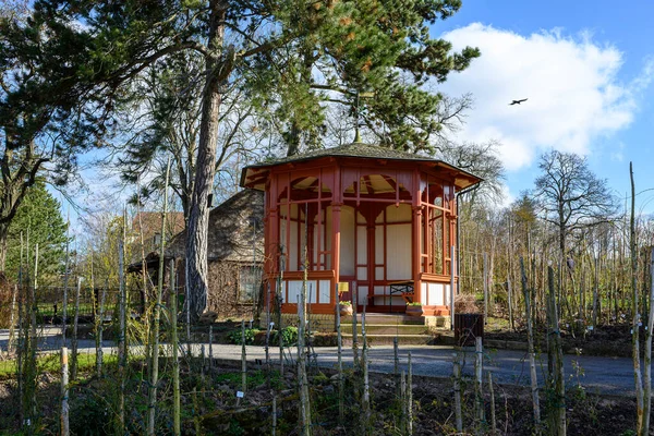 Vieille Maison Bois Dans Parc — Photo
