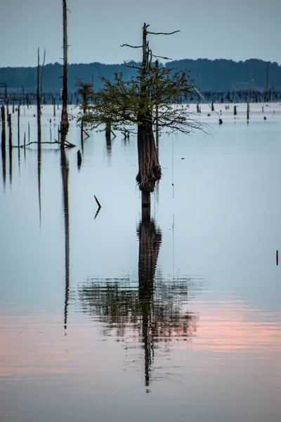 Krásný Výhled Jezero Večerních Hodinách — Stock fotografie