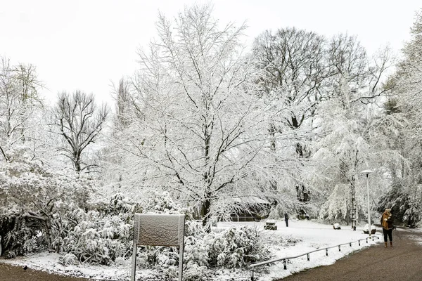 Vinterlandskap Med Snö Och Träd — Stockfoto