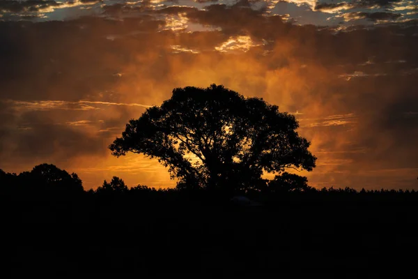 Beautiful Sunset Lake — Stock Photo, Image