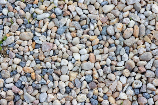 Hintergrund Aus Kieseln Steinen Textur Nahaufnahme — Stockfoto