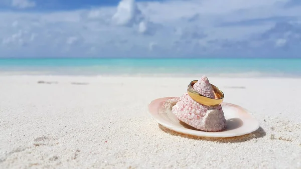 貝殻のある美しい熱帯のビーチ — ストック写真