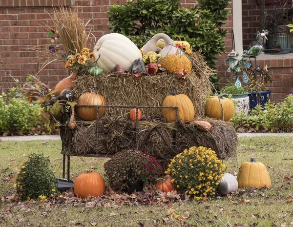 Calabazas Halloween Jardín — Foto de Stock