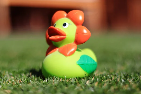 Spielzeugbär Mit Grünem Hintergrund Viele Kleine Eier — Stockfoto