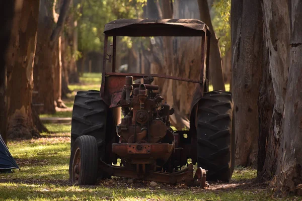 Старый Ржавый Трактор Лесу — стоковое фото