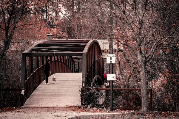 公园里的一座旧木桥 — 图库照片