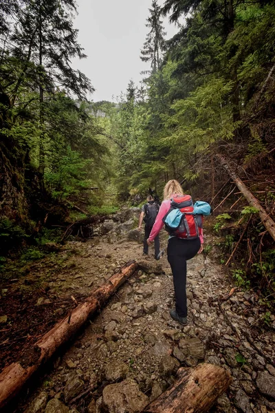 Jovem Mulher Caminhando Floresta — Fotografia de Stock