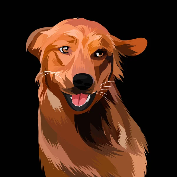 Hondenhoofd Portret Illustratie — Stockfoto