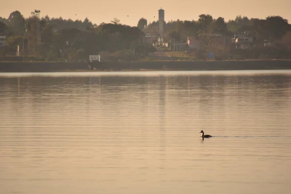 Krásný Výhled Jezero Dopoledních Hodinách — Stock fotografie