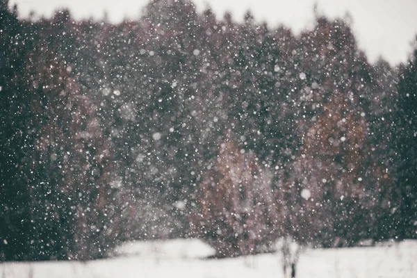 Paisagem Inverno Com Árvores Cobertas Neve — Fotografia de Stock