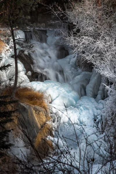 自然に囲まれた森の中の美しい滝 — ストック写真