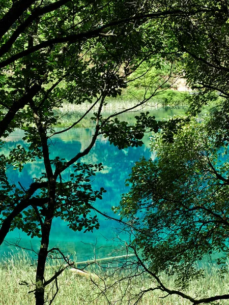 Piękny Widok Las Tle Natury — Zdjęcie stockowe