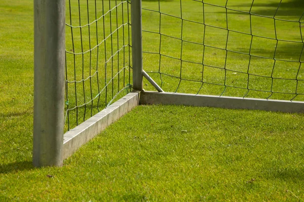 Zielona Trawa Parku — Zdjęcie stockowe