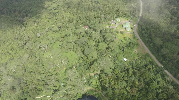 Luftaufnahme Des Flusses Wald — Stockfoto