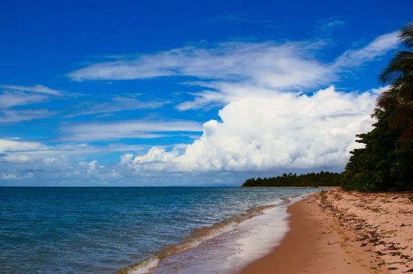 Krásná Tropická Pláž Modrou Oblohou — Stock fotografie