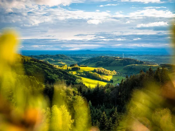Piękny Krajobraz Zielonymi Drzewami Chmurami — Zdjęcie stockowe
