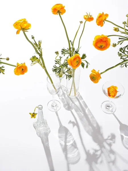 Hermosas Flores Jarrones Vidrio Sobre Fondo Blanco —  Fotos de Stock