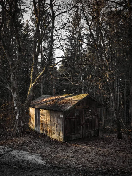 Stary Opuszczony Dom Lesie — Zdjęcie stockowe