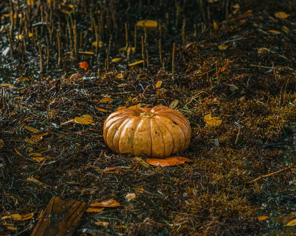 Хэллоуин Тыква Фоне Осенних Листьев — стоковое фото