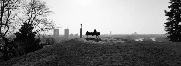 Foggy Morning Park — Stock Photo, Image