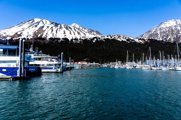 Prachtig Uitzicht Het Meer Bergen Stockfoto