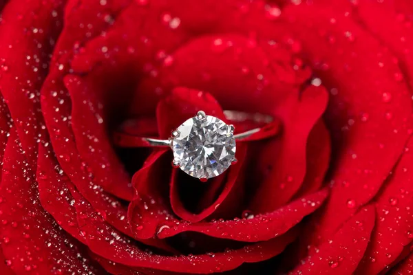 Κόκκινο Τριαντάφυλλο Ένα Δαχτυλίδι — Φωτογραφία Αρχείου